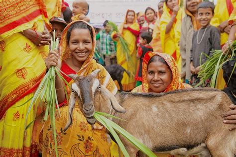 buy a goat for a family|Heifer International.